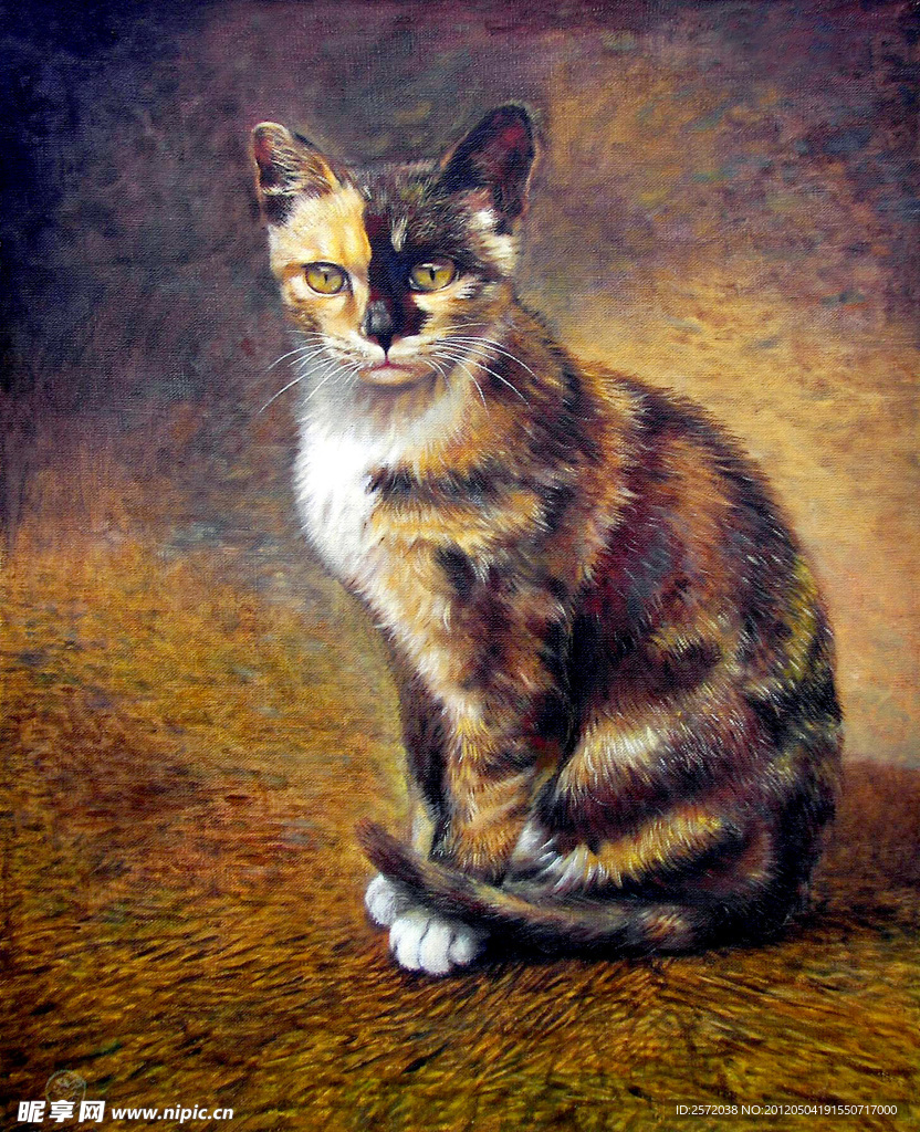 花猫儿
