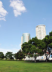 城市一景