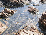 海岸礁石