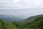 青山