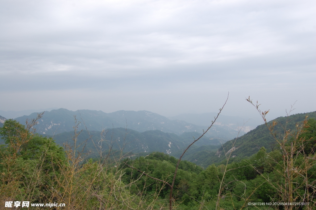 青山