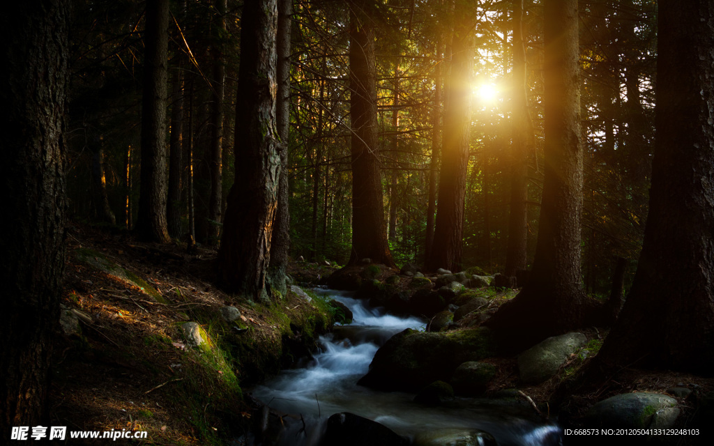 森林（Forests）