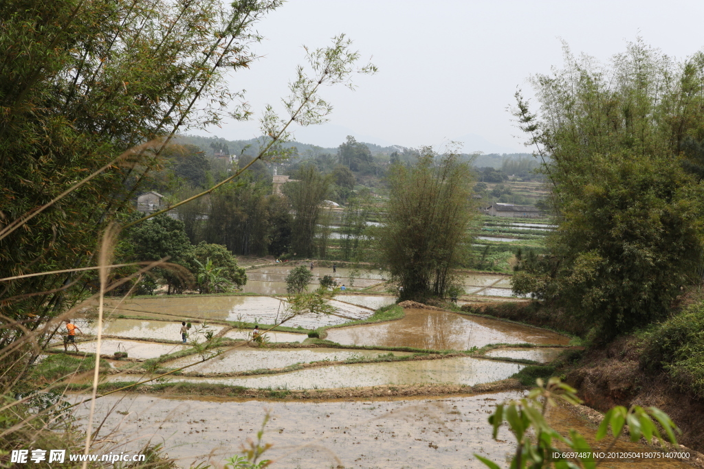 田园风光