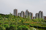 湍东公园