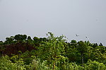 湍东公园