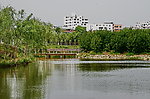 湍东公园
