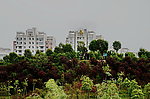 湍东公园