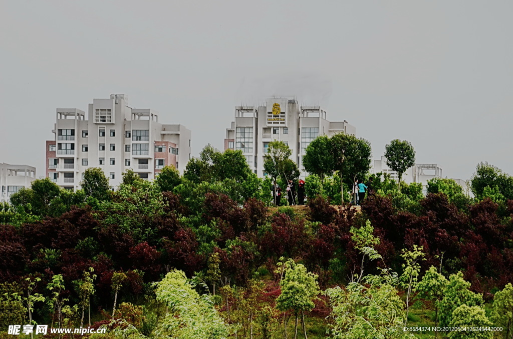 湍东公园