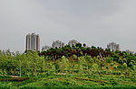 湍东公园