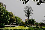 湍东公园