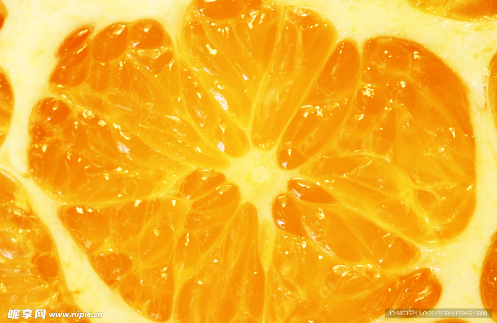 橙子截面微拍