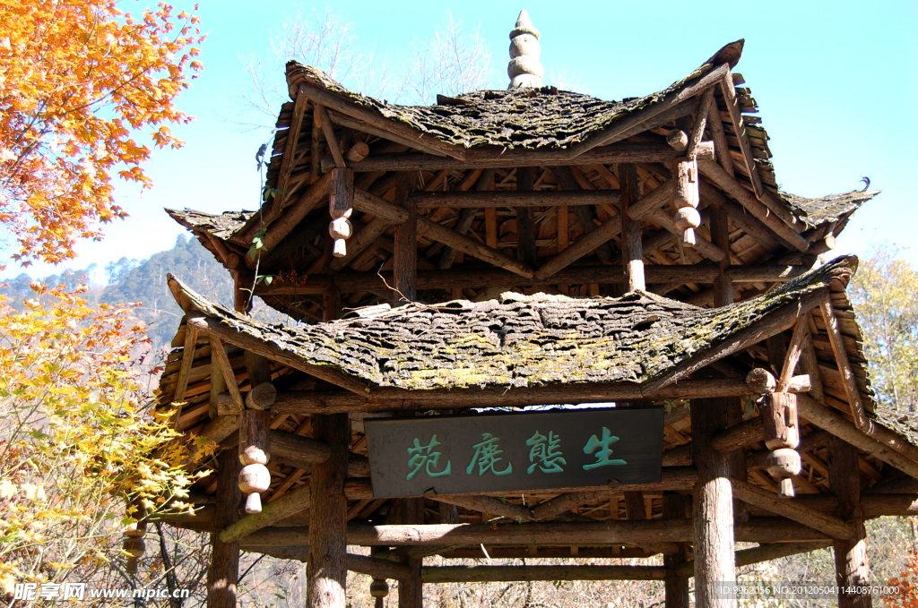 深山藏古亭