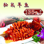 松鼠草鱼