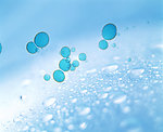 水珠
