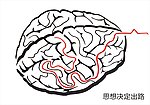 大脑 矢量