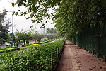 绿荫路
