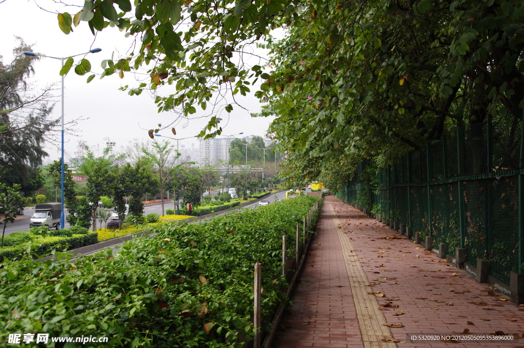 绿荫路