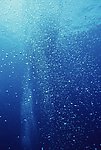 水珠