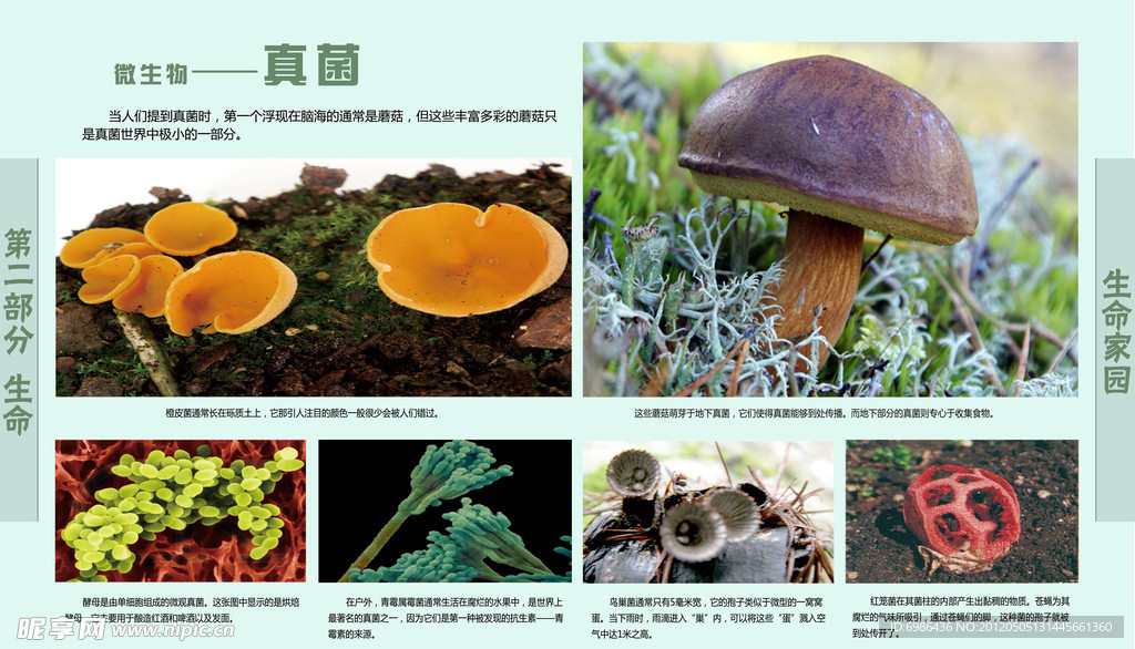 学校展板设计