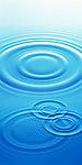水波