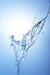 水样