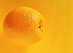 橙子