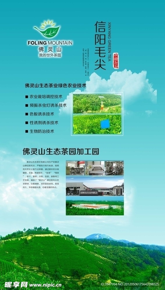 茶叶农业企业活动展板