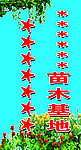 苗木基地