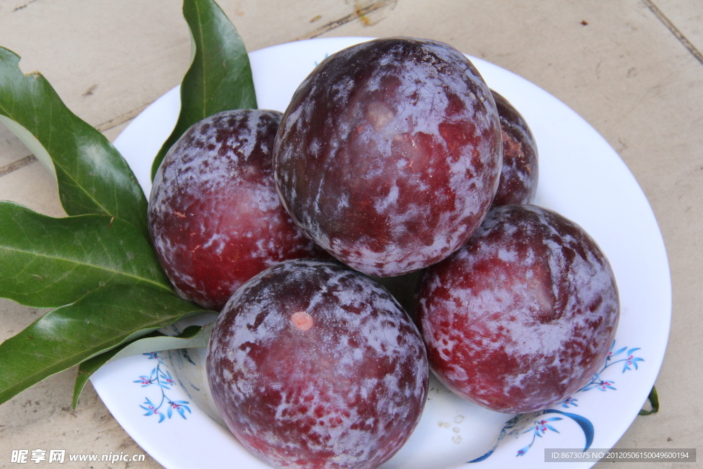黑布李
