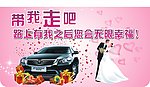 带我走吧 车顶牌