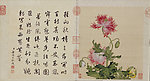清 郎世宁 花卉册