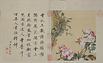 清 郎世宁 花卉册