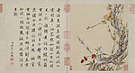 清 郎世宁 花卉册