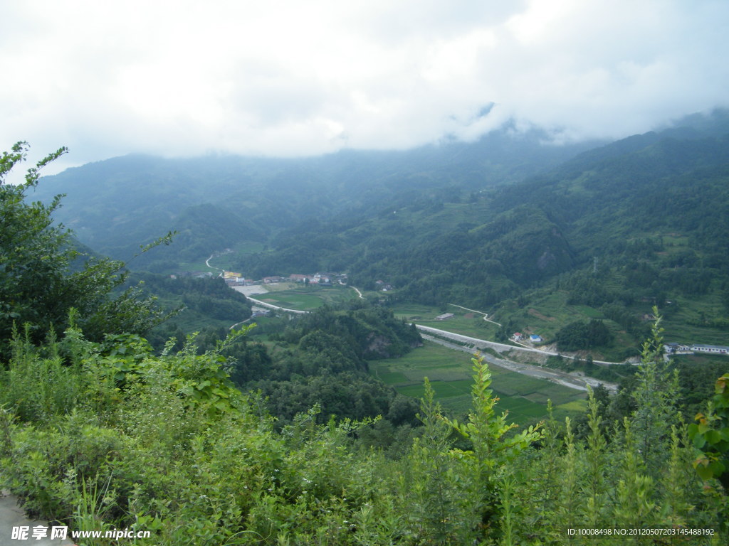 高山云雾