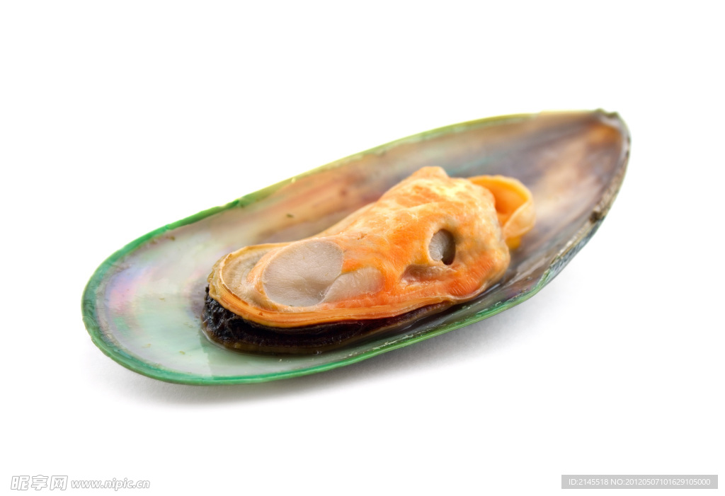 高清海鲜