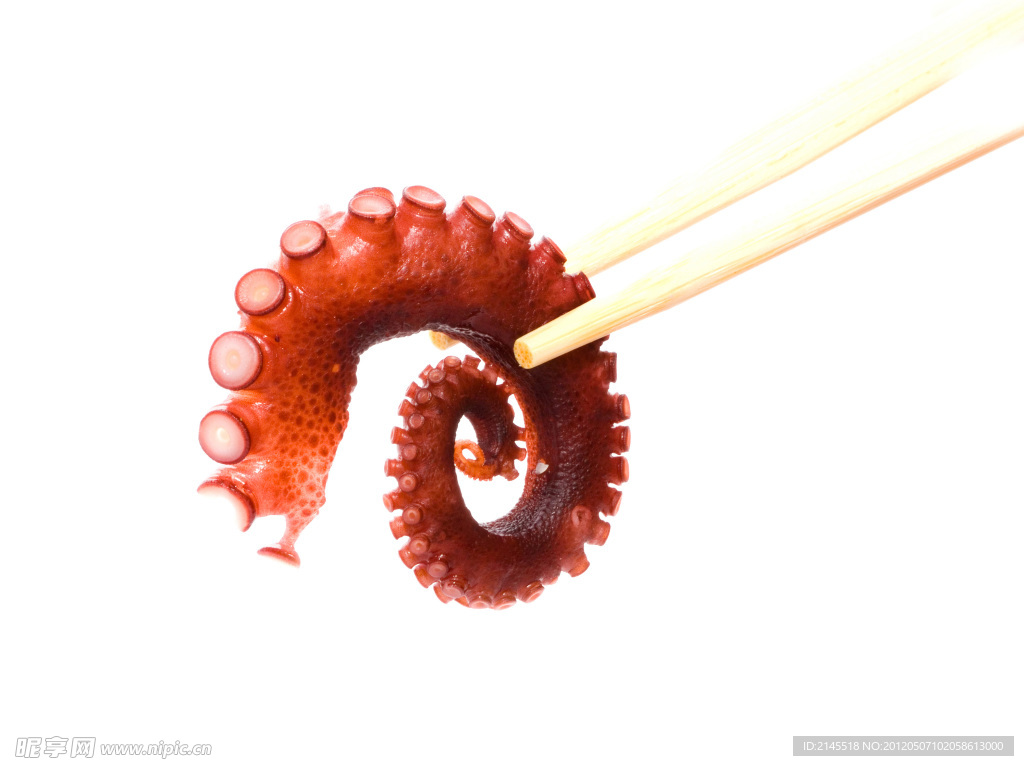 高清海鲜