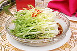 凉拌苦菊