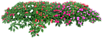 花草树木