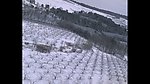 景观农田