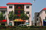 农运西村