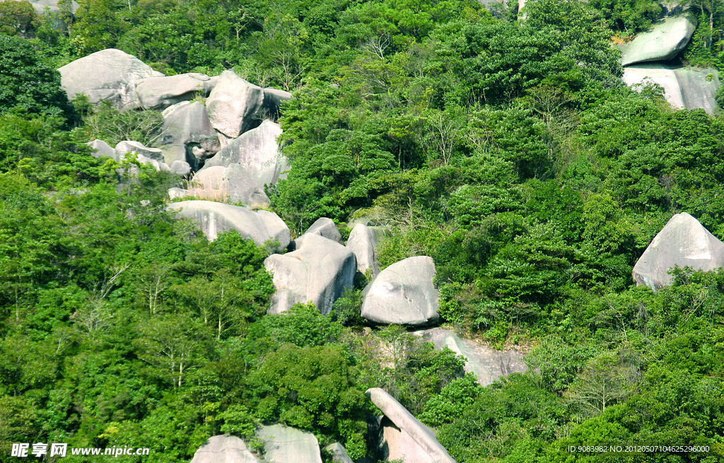 山水 树木