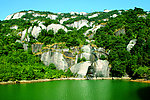 山水树木