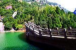 山水树木