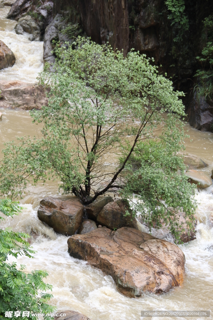 流水绿树
