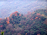 大山风景图