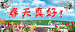 春天