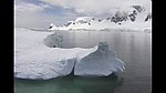 漂浮在水中的冰块
