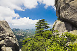 黄山