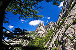 黄山