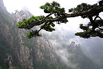 黄山